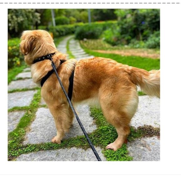 NWOT 3PC ADJUSTABLE DOG CHEST HARNESS, leash & Collar SET - LARGE - BLACK - Picture 3 of 4